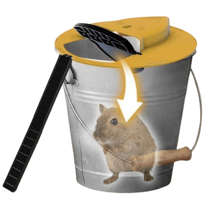 Armadilha para roedores - RatoSlip